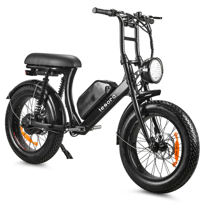 LMTDF-46L-2 350W E-Bici con pneumatico grasso