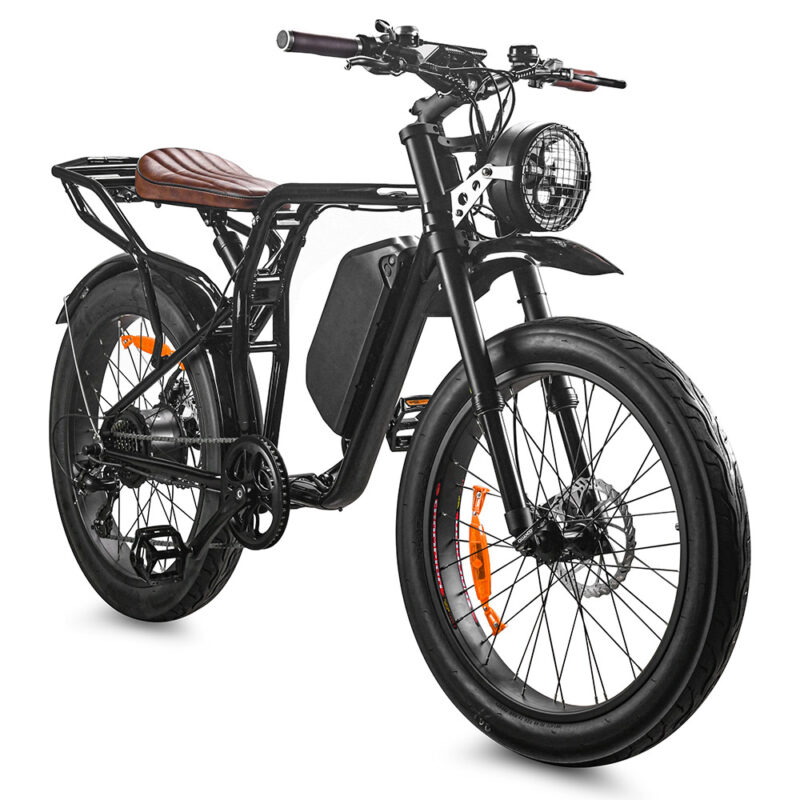 LMTDF-57L 24 Inch Fat Tire Bike