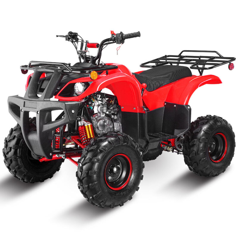 LMATV-125HM 125cc ATV 4 Ruote Quad