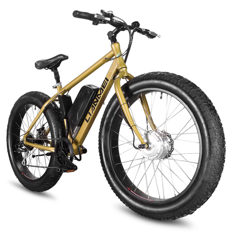 LMTDF-27L 26 Inch Wide Tire Bicycle