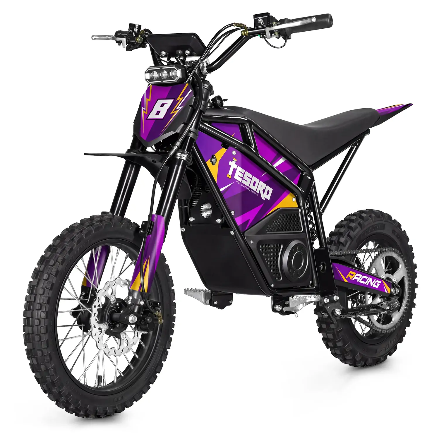 LME-1500DS Electric Brushless Motorcycle