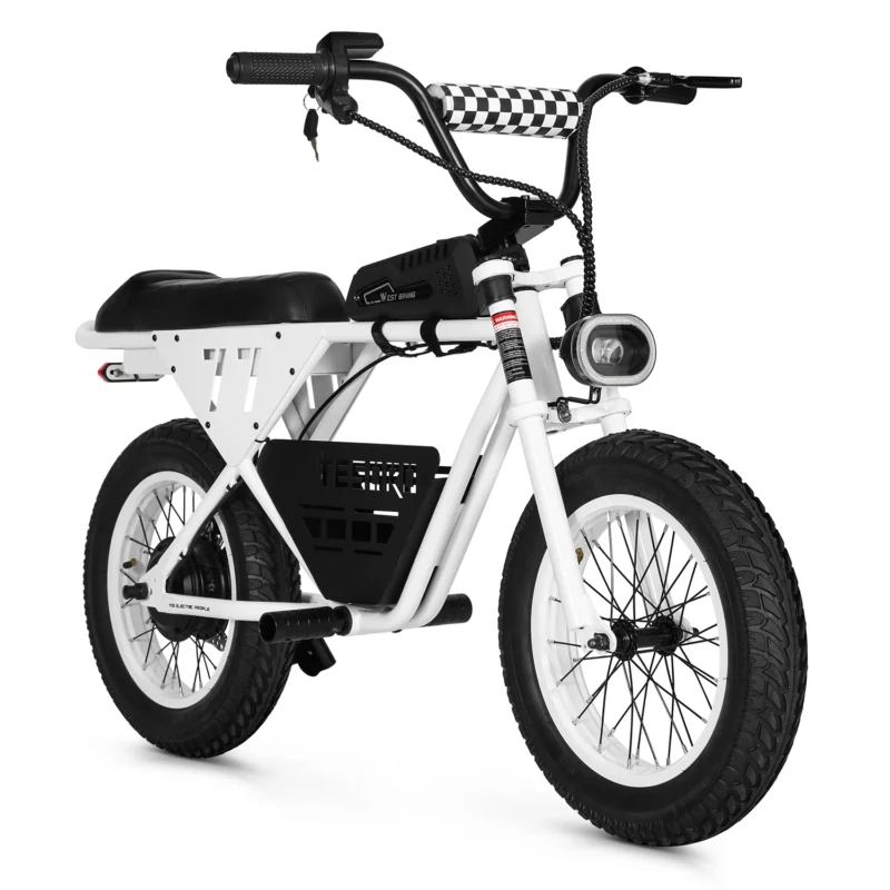 LMTDF-77L 350W Fat Tyre E-bike